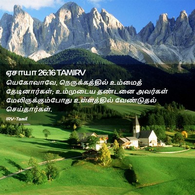 Picture 02 - ஏசாயா 26:16 TAMIRV - யெகோவாவே, - Bible Verse Picture