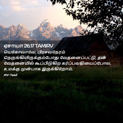 Picture 02 - ஏசாயா 26:17 TAMIRV - யெகோவாவே, - Bible Verse Picture