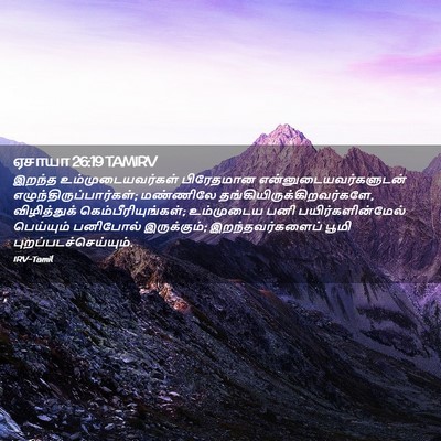 Picture 02 - ஏசாயா 26:19 TAMIRV - இறந்த - Bible Verse Picture