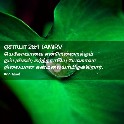 Picture 02 - ஏசாயா 26:4 TAMIRV - யெகோவாவை - Bible Verse Picture