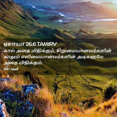 Picture 02 - ஏசாயா 26:6 TAMIRV - கால் அதை - Bible Verse Picture