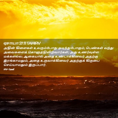 Picture 02 - ஏசாயா 27:11 TAMIRV - அதின் கிளைகள் - Bible Verse Picture