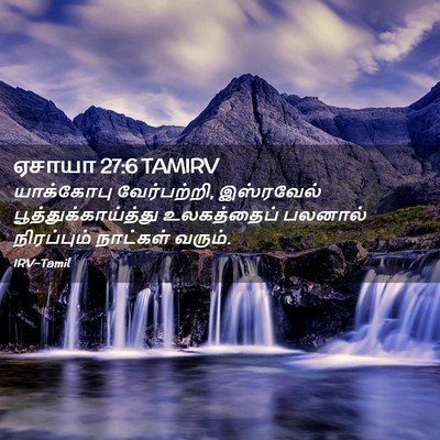 Picture 02 - ஏசாயா 27:6 TAMIRV - யாக்கோபு - Bible Verse Picture
