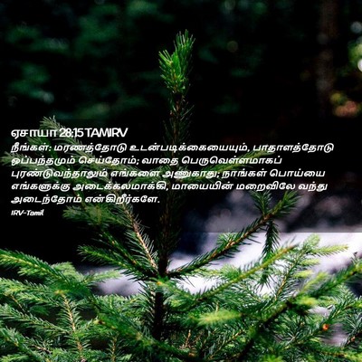 Picture 02 - ஏசாயா 28:15 TAMIRV - நீங்கள்: - Bible Verse Picture