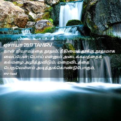 Picture 02 - ஏசாயா 28:17 TAMIRV - நான் நியாயத்தை - Bible Verse Picture