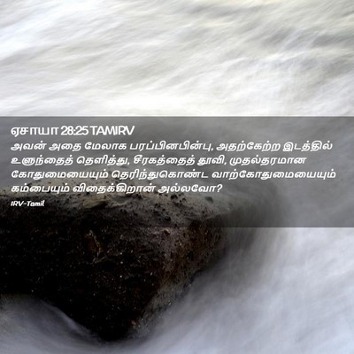 Picture 02 - ஏசாயா 28:25 TAMIRV - அவன் அதை மேலாக - Bible Verse Picture