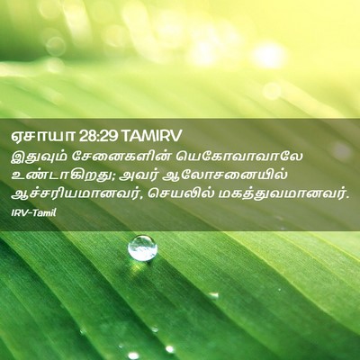 Picture 02 - ஏசாயா 28:29 TAMIRV - இதுவும் சேனைகளின் - Bible Verse Picture