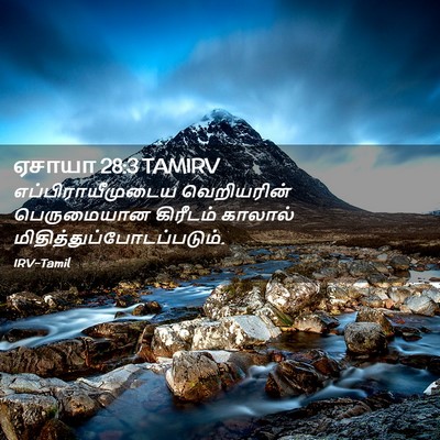 Picture 02 - ஏசாயா 28:3 TAMIRV - எப்பிராயீமுடைய - Bible Verse Picture