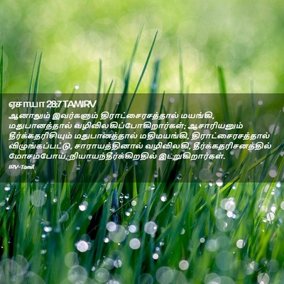 Picture 02 - ஏசாயா 28:7 TAMIRV - ஆனாலும் இவர்களும் - Bible Verse Picture