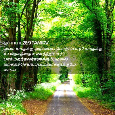 Picture 02 - ஏசாயா 28:9 TAMIRV - அவர் யாருக்கு - Bible Verse Picture