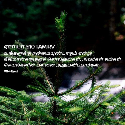 Picture 02 - ஏசாயா 3:10 TAMIRV - உங்களுக்கு - Bible Verse Picture