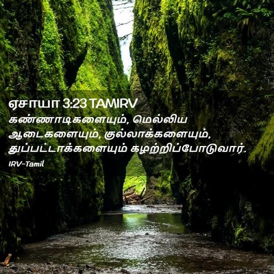 Picture 02 - ஏசாயா 3:23 TAMIRV - கண்ணாடிகளையும், - Bible Verse Picture