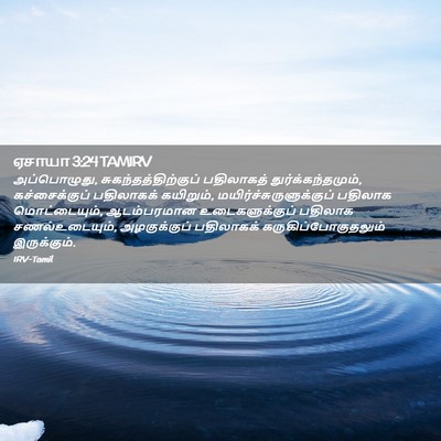 Picture 02 - ஏசாயா 3:24 TAMIRV - அப்பொழுது, - Bible Verse Picture