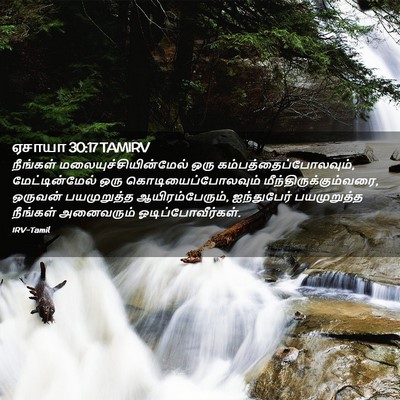 Picture 02 - ஏசாயா 30:17 TAMIRV - நீங்கள் - Bible Verse Picture
