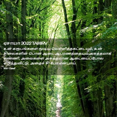 Picture 02 - ஏசாயா 30:22 TAMIRV - உன் சுரூபங்களை - Bible Verse Picture