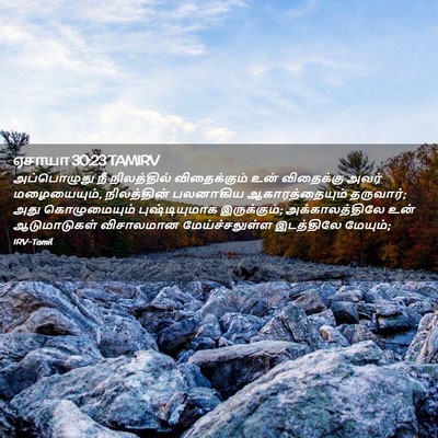 Picture 02 - ஏசாயா 30:23 TAMIRV - அப்பொழுது நீ - Bible Verse Picture