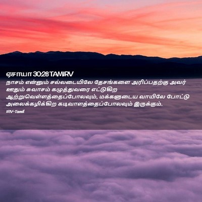 Picture 02 - ஏசாயா 30:28 TAMIRV - நாசம் என்னும் - Bible Verse Picture