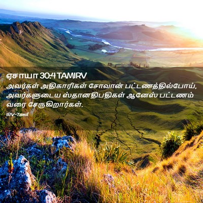 Picture 02 - ஏசாயா 30:4 TAMIRV - அவர்கள் - Bible Verse Picture