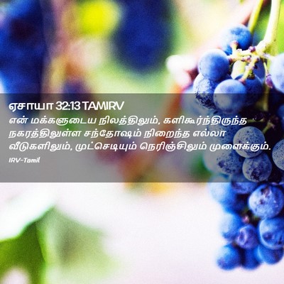 Picture 02 - ஏசாயா 32:13 TAMIRV - என் மக்களுடைய - Bible Verse Picture