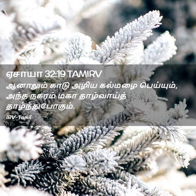 Picture 02 - ஏசாயா 32:19 TAMIRV - ஆனாலும் காடு அழிய - Bible Verse Picture