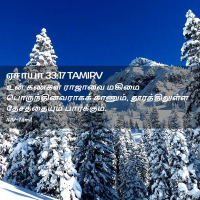 Picture 02 - ஏசாயா 33:17 TAMIRV - உன் கண்கள் ராஜாவை - Bible Verse Picture