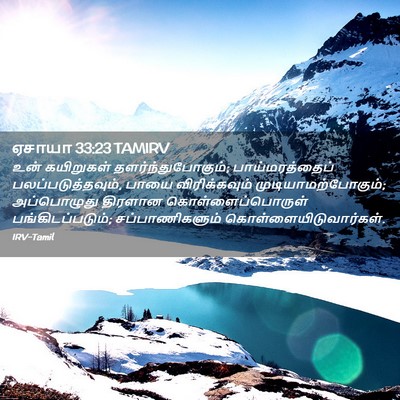 Picture 02 - ஏசாயா 33:23 TAMIRV - உன் கயிறுகள் - Bible Verse Picture