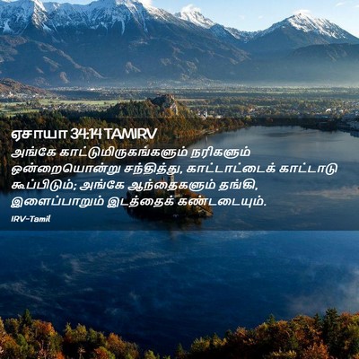 Picture 02 - ஏசாயா 34:14 TAMIRV - அங்கே - Bible Verse Picture
