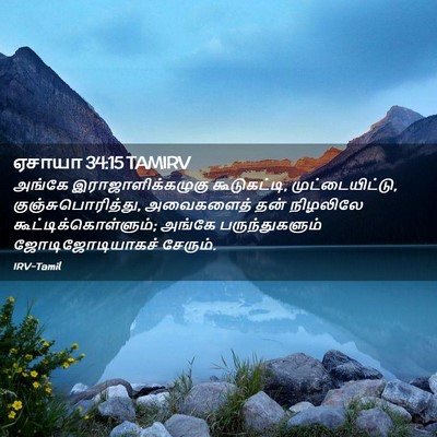 Picture 02 - ஏசாயா 34:15 TAMIRV - அங்கே - Bible Verse Picture