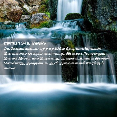Picture 02 - ஏசாயா 34:16 TAMIRV - யெகோவாவுடைய - Bible Verse Picture