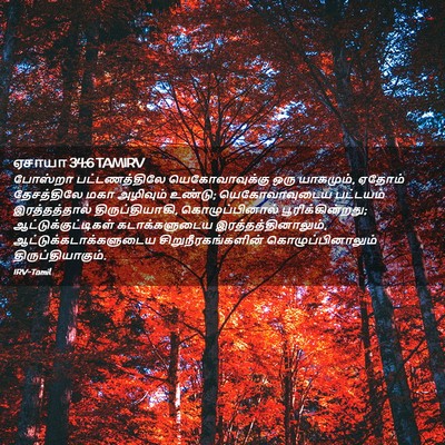 Picture 02 - ஏசாயா 34:6 TAMIRV - போஸ்றா - Bible Verse Picture