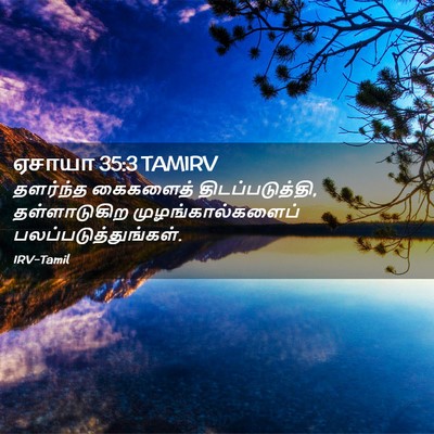 Picture 02 - ஏசாயா 35:3 TAMIRV - தளர்ந்த கைகளைத் - Bible Verse Picture