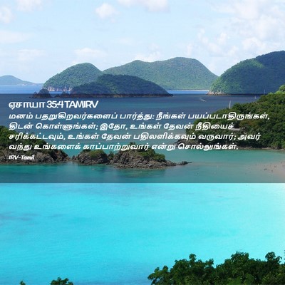 Picture 02 - ஏசாயா 35:4 TAMIRV - மனம் - Bible Verse Picture