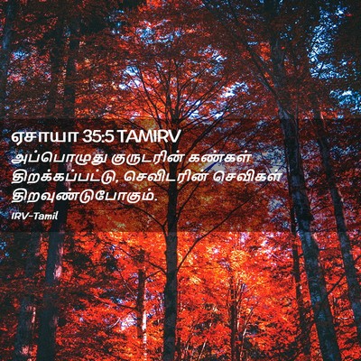 Picture 02 - ஏசாயா 35:5 TAMIRV - அப்பொழுது - Bible Verse Picture