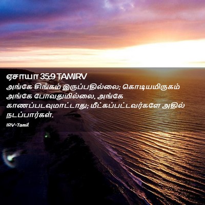 Picture 02 - ஏசாயா 35:9 TAMIRV - அங்கே சிங்கம் - Bible Verse Picture