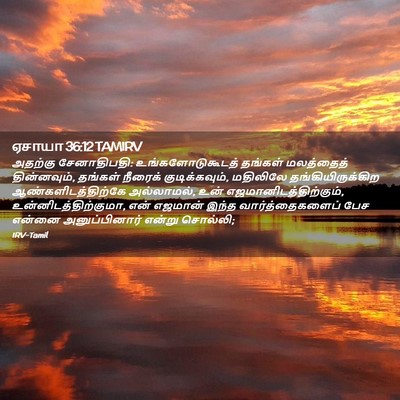 Picture 02 - ஏசாயா 36:12 TAMIRV - அதற்கு சேனாதிபதி: - Bible Verse Picture