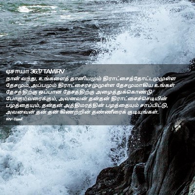 Picture 02 - ஏசாயா 36:17 TAMIRV - நான் வந்து, - Bible Verse Picture