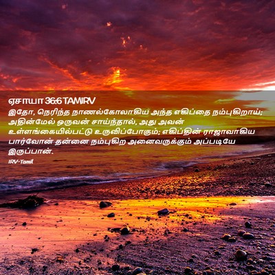 Picture 02 - ஏசாயா 36:6 TAMIRV - இதோ, நெரிந்த - Bible Verse Picture