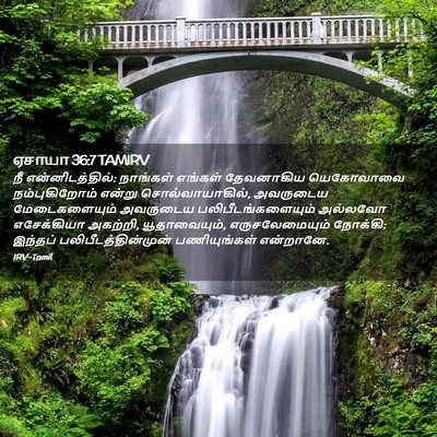 Picture 02 - ஏசாயா 36:7 TAMIRV - நீ என்னிடத்தில்: - Bible Verse Picture