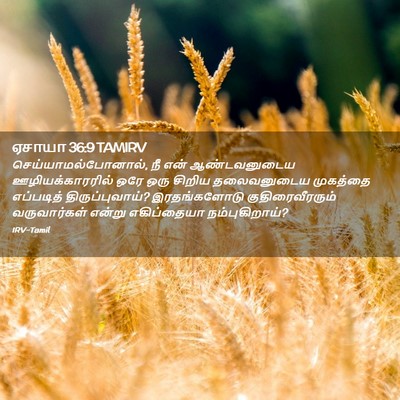 Picture 02 - ஏசாயா 36:9 TAMIRV - செய்யாமல்போனால், - Bible Verse Picture