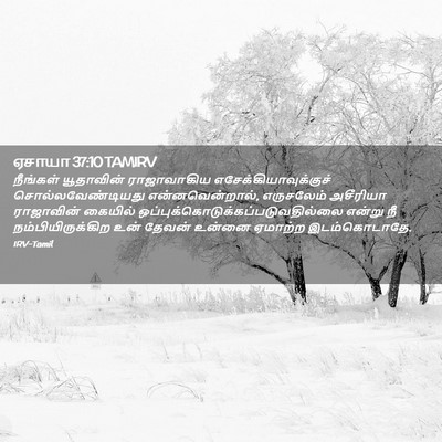 Picture 02 - ஏசாயா 37:10 TAMIRV - நீங்கள் யூதாவின் - Bible Verse Picture