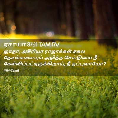 Picture 02 - ஏசாயா 37:11 TAMIRV - இதோ, அசீரியா - Bible Verse Picture