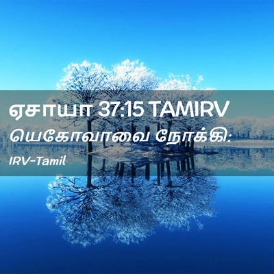 Picture 02 - ஏசாயா 37:15 TAMIRV - யெகோவாவை - Bible Verse Picture