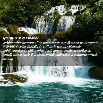 Picture 02 - ஏசாயா 37:27 TAMIRV - அதினாலே அவைகளின் - Bible Verse Picture