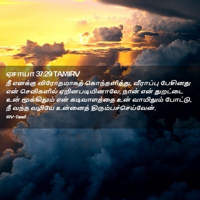 Picture 02 - ஏசாயா 37:29 TAMIRV - நீ எனக்கு - Bible Verse Picture