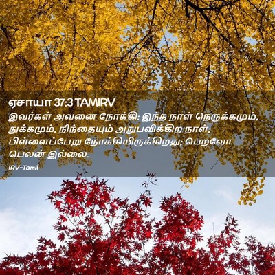 Picture 02 - ஏசாயா 37:3 TAMIRV - இவர்கள் அவனை - Bible Verse Picture