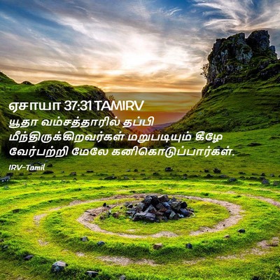 Picture 02 - ஏசாயா 37:31 TAMIRV - யூதா வம்சத்தாரில் - Bible Verse Picture