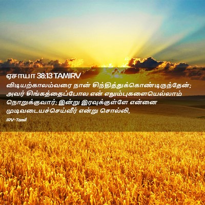 Picture 02 - ஏசாயா 38:13 TAMIRV - விடியற்காலம்வரை - Bible Verse Picture