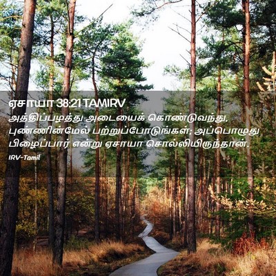 Picture 02 - ஏசாயா 38:21 TAMIRV - அத்திப்பழத்து - Bible Verse Picture