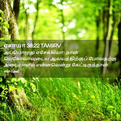 Picture 02 - ஏசாயா 38:22 TAMIRV - அப்பொழுது - Bible Verse Picture