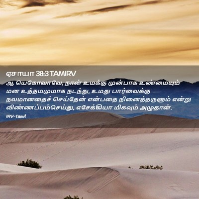 Picture 02 - ஏசாயா 38:3 TAMIRV - ஆ யெகோவாவே, நான் - Bible Verse Picture